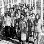 Birkenau
                                          survivors