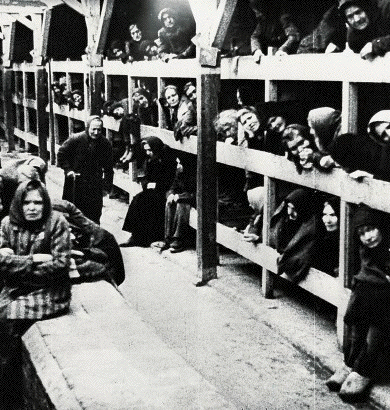 Women inmates at
liberation in
Birkenau-Auschwitz