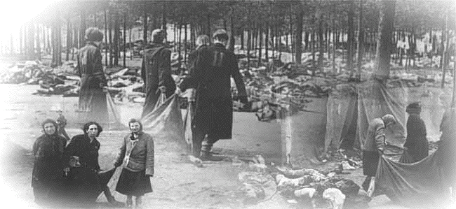 Corpses at
Bergen-Belsen