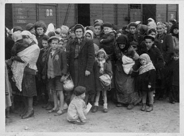 Hungarian
                                                          Jews selected
                                                          for gas
                                                          chamber
